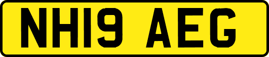NH19AEG