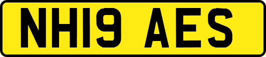 NH19AES