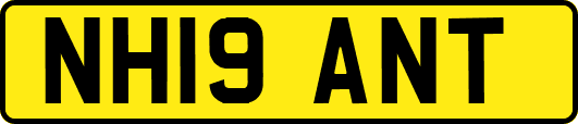 NH19ANT