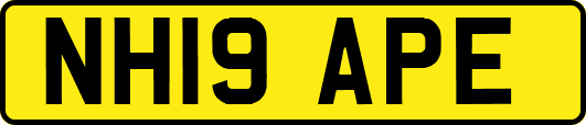 NH19APE