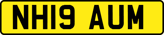 NH19AUM
