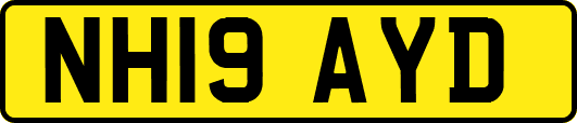 NH19AYD