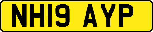 NH19AYP