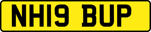 NH19BUP