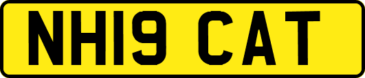 NH19CAT
