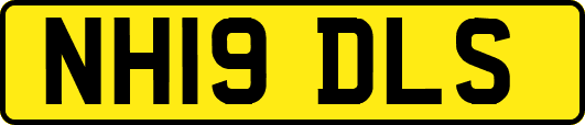 NH19DLS
