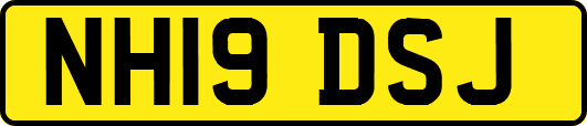 NH19DSJ
