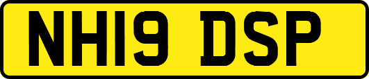 NH19DSP