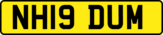 NH19DUM