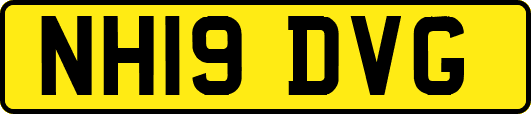 NH19DVG