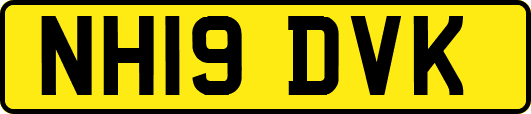 NH19DVK