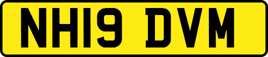NH19DVM