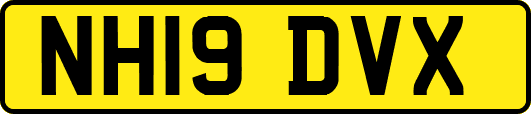 NH19DVX