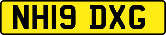 NH19DXG