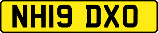 NH19DXO