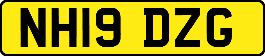 NH19DZG