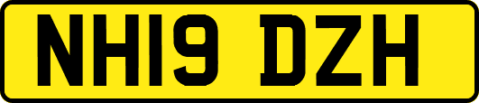 NH19DZH