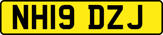 NH19DZJ