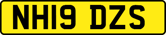 NH19DZS