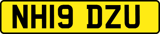 NH19DZU