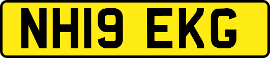 NH19EKG