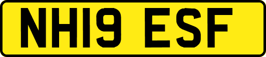 NH19ESF