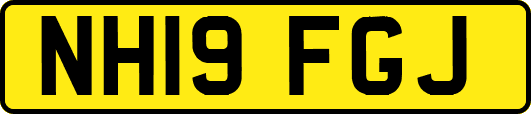 NH19FGJ