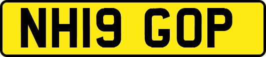 NH19GOP