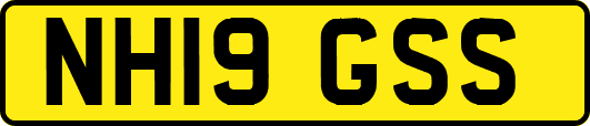 NH19GSS