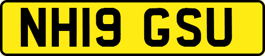 NH19GSU