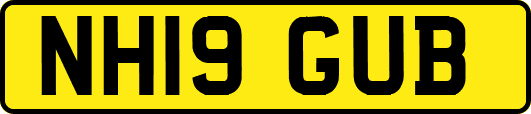 NH19GUB