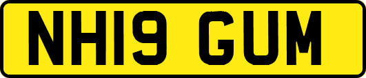 NH19GUM