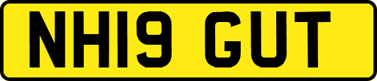 NH19GUT