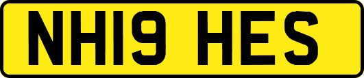 NH19HES