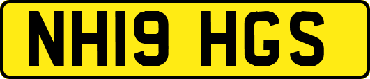 NH19HGS