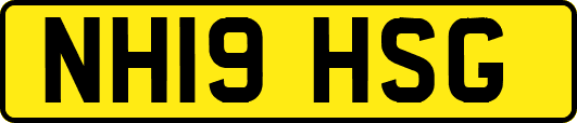 NH19HSG