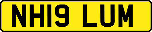 NH19LUM