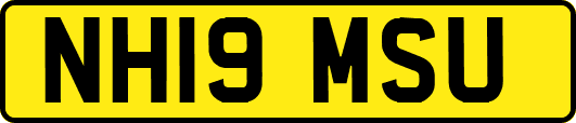 NH19MSU