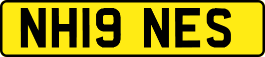 NH19NES