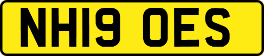 NH19OES