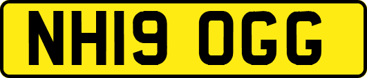 NH19OGG