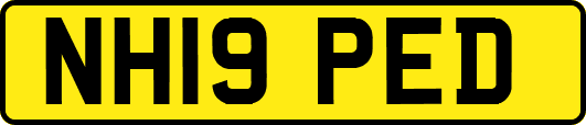 NH19PED