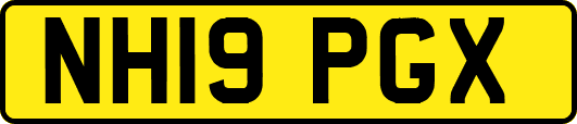 NH19PGX