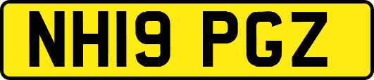 NH19PGZ