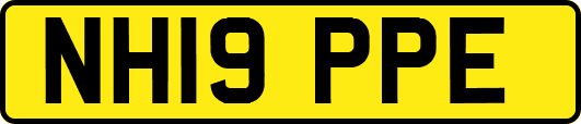 NH19PPE