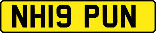 NH19PUN