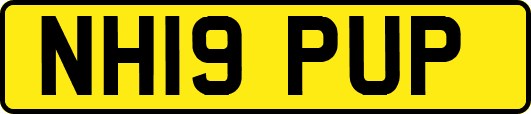 NH19PUP