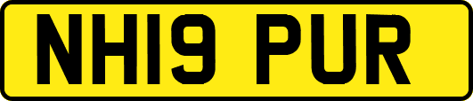 NH19PUR