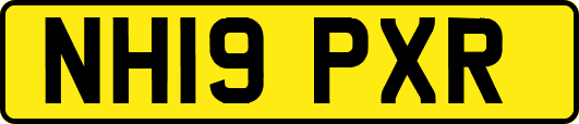 NH19PXR