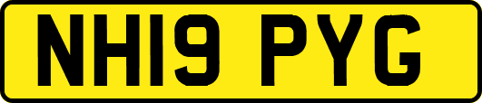 NH19PYG